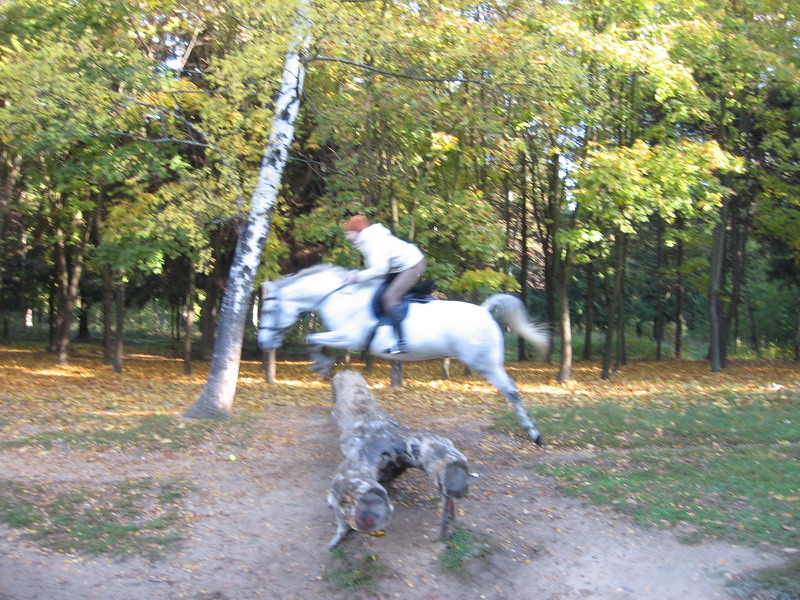 IMG_1165.jpg1.jpg"%20height="600"%20width="800